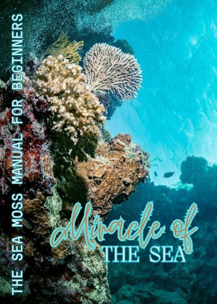 Miracle of The Sea (eBook, ePUB)