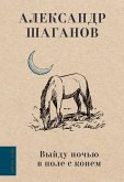 Выйду ночью в поле с конем (eBook, ePUB)