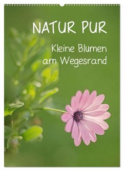 NATUR PUR Kleine Blumen am Wegesrand (Wandkalender 2025 DIN A2 hoch), CALVENDO Monatskalender