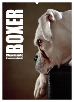 Boxer - Charmante Charakterköpfe (Wandkalender 2025 DIN A2 hoch), CALVENDO Monatskalender