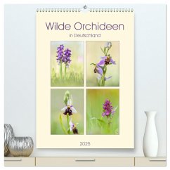 Wilde Orchideen in Deutschland 2025 (hochwertiger Premium Wandkalender 2025 DIN A2 hoch), Kunstdruck in Hochglanz