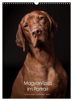 Magyar Vizsla im Portrait (Wandkalender 2025 DIN A3 hoch), CALVENDO Monatskalender