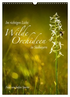 Im richtigen Licht: Wilde Orchideen in Südbayern (Wandkalender 2025 DIN A3 hoch), CALVENDO Monatskalender