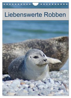 Liebenswerte Robben (Wandkalender 2025 DIN A4 hoch), CALVENDO Monatskalender