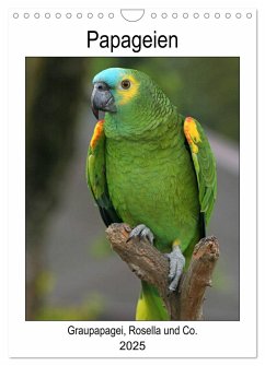Papageien - Graupapagei, Rosella und Co. (Wandkalender 2025 DIN A4 hoch), CALVENDO Monatskalender - Calvendo;Lindert-Rottke, Antje