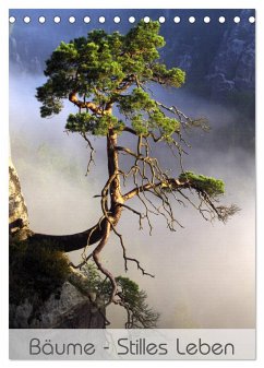 Bäume - Stilles Leben (Tischkalender 2025 DIN A5 hoch), CALVENDO Monatskalender
