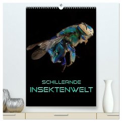 Schillernde Insektenwelt (hochwertiger Premium Wandkalender 2025 DIN A2 hoch), Kunstdruck in Hochglanz - Calvendo;Bleicher, Renate