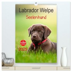 Labrador Welpe - Seelenhund (hochwertiger Premium Wandkalender 2025 DIN A2 hoch), Kunstdruck in Hochglanz