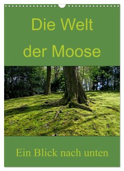 Die Welt der Moose. Ein Blick nach unten (Wandkalender 2025 DIN A3 hoch), CALVENDO Monatskalender