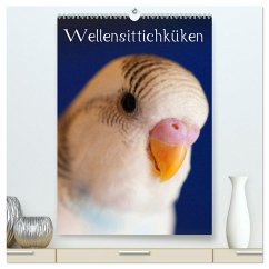 Wellensittichküken (hochwertiger Premium Wandkalender 2025 DIN A2 hoch), Kunstdruck in Hochglanz