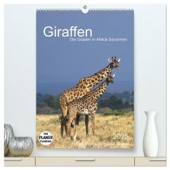 Giraffen - Die Grazien in Afrikas Savannen (hochwertiger Premium Wandkalender 2025 DIN A2 hoch), Kunstdruck in Hochglanz