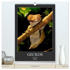 GECKOS (hochwertiger Premium Wandkalender 2025 DIN A2 hoch), Kunstdruck in Hochglanz - Calvendo;Trapp, Benny