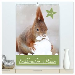 Eichhörnchen - Planer (hochwertiger Premium Wandkalender 2025 DIN A2 hoch), Kunstdruck in Hochglanz - Calvendo;Cerny, Birgit