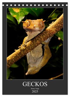 GECKOS (Tischkalender 2025 DIN A5 hoch), CALVENDO Monatskalender