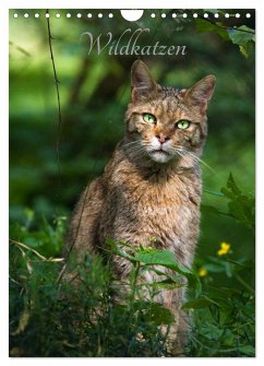 Wildkatzen - scheue Jäger (Wandkalender 2025 DIN A4 hoch), CALVENDO Monatskalender