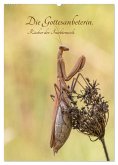 Die Gottesanbeterin. Räuber der Insektenwelt. (Wandkalender 2025 DIN A2 hoch), CALVENDO Monatskalender