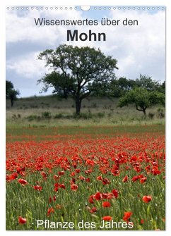 Wissenswertes über den Mohn - Pflanze des Jahres (Wandkalender 2025 DIN A3 hoch), CALVENDO Monatskalender - Calvendo;Schmitt, Georg