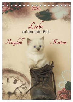 Liebe auf den ersten Blick . Ragdoll Kitten (Tischkalender 2025 DIN A5 hoch), CALVENDO Monatskalender - Calvendo;Reiß-Seibert, Marion