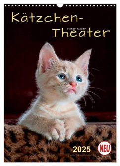 Kätzchen - Theater (Wandkalender 2025 DIN A3 hoch), CALVENDO Monatskalender