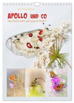 APOLLO UND CO (Wandkalender 2025 DIN A4 hoch), CALVENDO Monatskalender