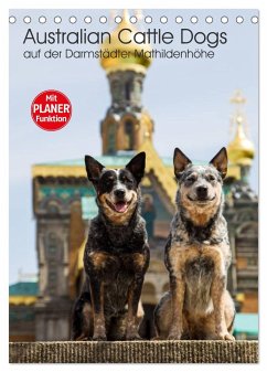 Australian Cattle Dogs auf der Darmstädter Mathildenhöhe (Tischkalender 2025 DIN A5 hoch), CALVENDO Monatskalender - Calvendo;Verena Scholze, Fotodesign