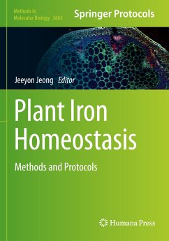 Plant Iron Homeostasis