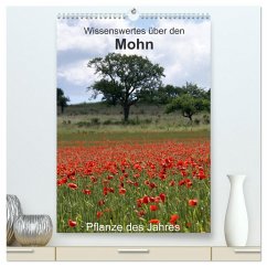 Wissenswertes über den Mohn - Pflanze des Jahres (hochwertiger Premium Wandkalender 2025 DIN A2 hoch), Kunstdruck in Hochglanz - Calvendo;Schmitt, Georg