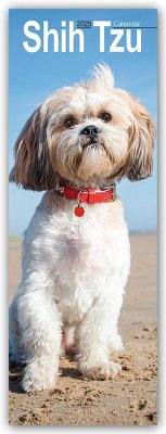 Shih Tzu 2025 - Avonside Publishing Ltd