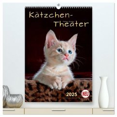 Kätzchen - Theater (hochwertiger Premium Wandkalender 2025 DIN A2 hoch), Kunstdruck in Hochglanz