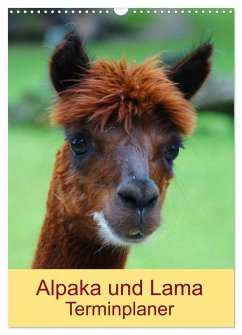 Alpaka und Lama Terminplaner (Wandkalender 2025 DIN A3 hoch), CALVENDO Monatskalender
