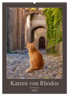 Katzen von Rhodos (Wandkalender 2025 DIN A2 hoch), CALVENDO Monatskalender - Calvendo;Menden, Katho