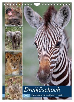 Dreikäsehoch - Tierkinder im südlichen Afrika (Wandkalender 2025 DIN A4 hoch), CALVENDO Monatskalender