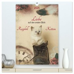 Liebe auf den ersten Blick . Ragdoll Kitten (hochwertiger Premium Wandkalender 2025 DIN A2 hoch), Kunstdruck in Hochglanz