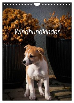 Windhundkinder (Wandkalender 2025 DIN A4 hoch), CALVENDO Monatskalender - Calvendo;Redl, Ula