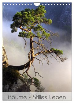 Bäume - Stilles Leben (Wandkalender 2025 DIN A4 hoch), CALVENDO Monatskalender