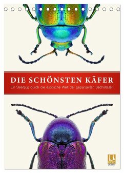 Die schönsten Käfer (Tischkalender 2025 DIN A5 hoch), CALVENDO Monatskalender