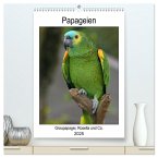Papageien - Graupapagei, Rosella und Co. (hochwertiger Premium Wandkalender 2025 DIN A2 hoch), Kunstdruck in Hochglanz