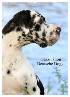 Faszination Deutsche Dogge (Wandkalender 2025 DIN A2 hoch), CALVENDO Monatskalender