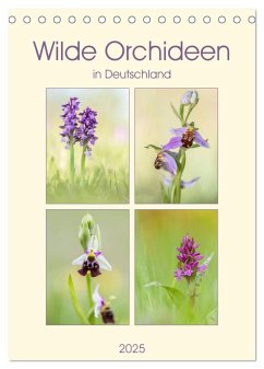 Wilde Orchideen in Deutschland 2025 (Tischkalender 2025 DIN A5 hoch), CALVENDO Monatskalender