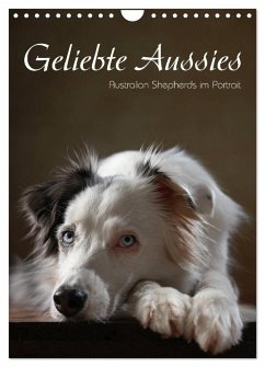 Geliebte Aussies - Australian Shepherds im Portrait (Wandkalender 2025 DIN A4 hoch), CALVENDO Monatskalender - Calvendo;Behr, Jana