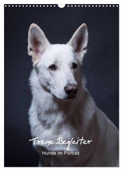 Treue Wegbegleiter, Hunde im Portrait. (Wandkalender 2025 DIN A3 hoch), CALVENDO Monatskalender - Calvendo;Stark, Susanne