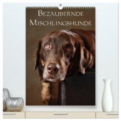 Bezaubernde Mischlingshunde (hochwertiger Premium Wandkalender 2025 DIN A2 hoch), Kunstdruck in Hochglanz - Calvendo;Behr, Jana