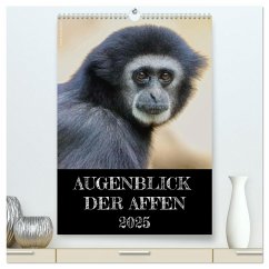 Augenblick der Affen 2025 (hochwertiger Premium Wandkalender 2025 DIN A2 hoch), Kunstdruck in Hochglanz