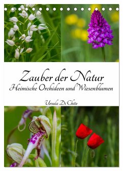 Zauber der Natur - Heimische Orchideen und Wiesenblumen (Tischkalender 2025 DIN A5 hoch), CALVENDO Monatskalender