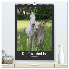 Die Esel sind los (hochwertiger Premium Wandkalender 2025 DIN A2 hoch), Kunstdruck in Hochglanz