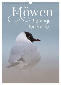 Möwen - die Vögel der Küste (Wandkalender 2025 DIN A3 hoch), CALVENDO Monatskalender