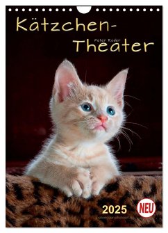 Kätzchen - Theater (Wandkalender 2025 DIN A4 hoch), CALVENDO Monatskalender