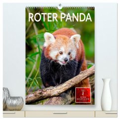 Roter Panda (hochwertiger Premium Wandkalender 2025 DIN A2 hoch), Kunstdruck in Hochglanz - Calvendo;Roder, Peter
