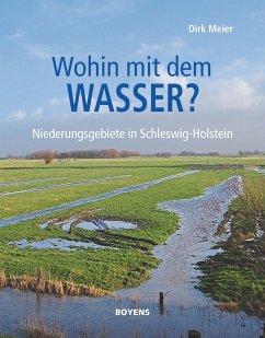 Wohin mit dem Wasser? - Meier, Dirk