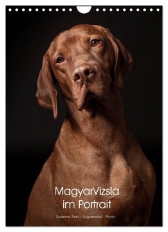 Magyar Vizsla im Portrait (Wandkalender 2025 DIN A4 hoch), CALVENDO Monatskalender - Calvendo;Stark Sugarsweet - Photo, Susanne